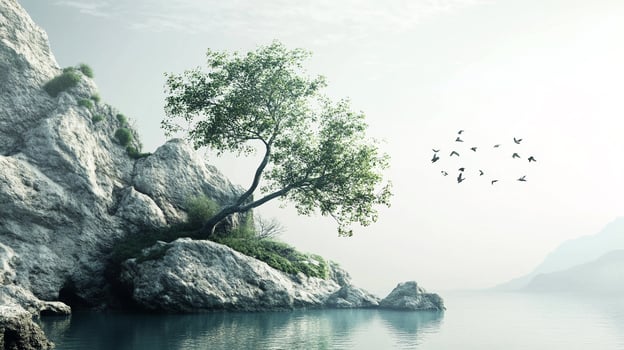 Lone tree clinging to rocky cliffside overlooking tranquil waters, with birds soaring in the sky, embodying nature's serene beauty. photo