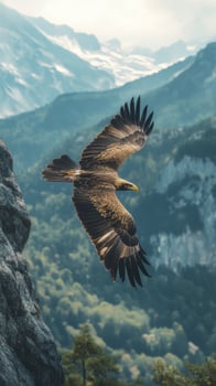 Majestic Eagle Soaring Above Mountain Peaks photo