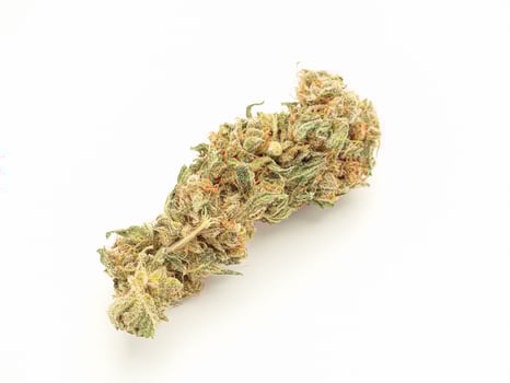 Dry marijuana buds flower on a white background photo