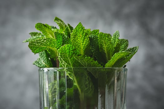 Fresh mint leaves put in a glass jar photo