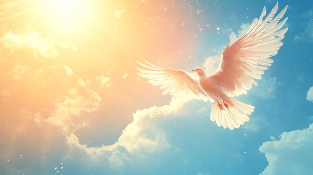 Majestic white bird soaring gracefully under a radiant sun and blue sky, symbolizing peace and freedom in nature's beauty photo