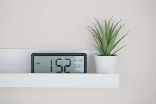 Digital clock on shelf next to small potted plant in afternoon light photo