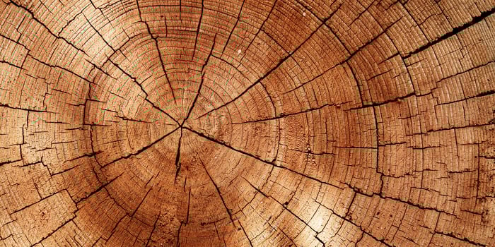Wooden old rings texture natural banner background, round shape of wood timber with cracks as natural pattern, abstract nature. Wooden aesthetic texture, design element, nature gradient color photo