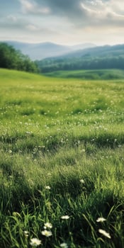 Serene Green Meadow Landscape photo