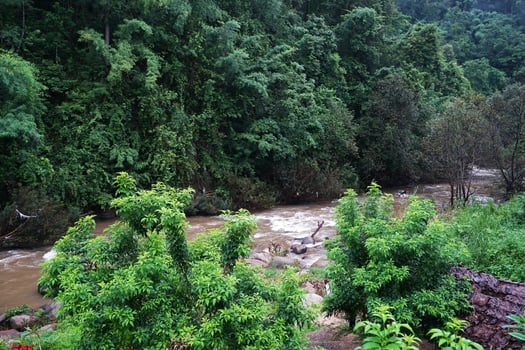 Natural rocky waterfall among green forest park photo