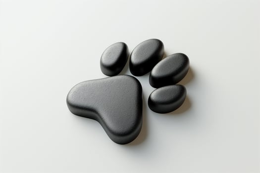 A sleek, black paw print shaped sculpture on a smooth surface, symbolizing pets and animal love. photo