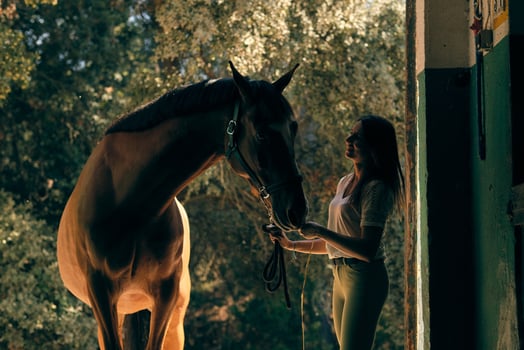Horsewoman standing with horse in barn photo
