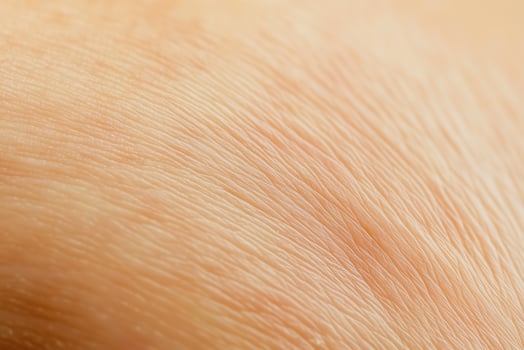 Intricate patterns and textures of human skin are displayed in this close-up. photo