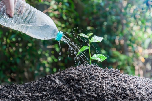 Planting and watering trees, the concept of using natural energy sustainably photo