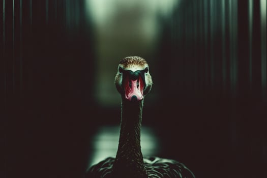 Mysterious duck stands alone in a dimly lit corridor during twilight hours photo