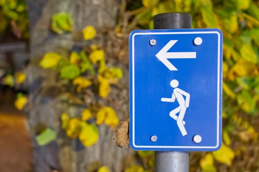Directional Pedestrian Sign in Autumn Setting photo