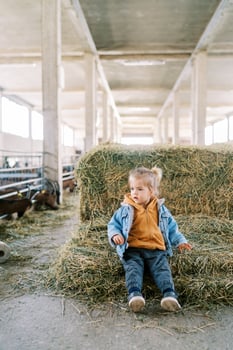 Little girl sits on a haystack at the farm and looks away photo