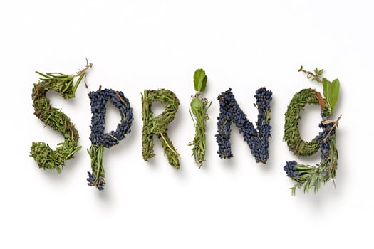 Spring is coming, enjoying nature with herbs and flowers forming the word spring photo