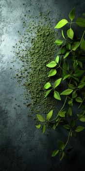 Moringa powder and fresh leaves arranged on a textured surface photo
