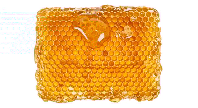 Sweet Honeycomb Texture Golden Honeycomb Background Natural Honeycomb Delicious Honeycomb Honeycomb photo