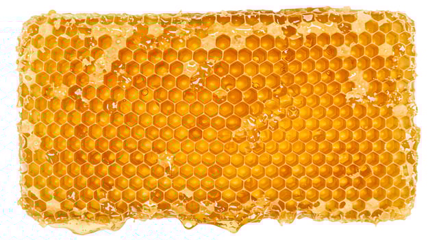 Golden Honeycomb Sweet Honey Texture Background Natural Honeycomb bee food bees farm high cells photo