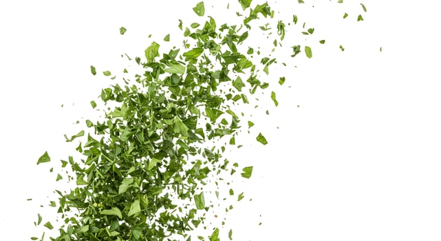 Fresh Parsley Explosion Green Leaves Burst Food Ingredient Herbs diet spice plant white photo image