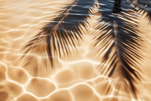 Palm Frond Shadow on Sandy Seabed photo