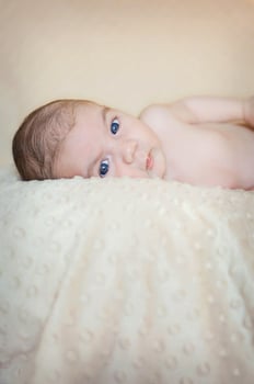 Portrait of newborn baby lying down over a blanket photo