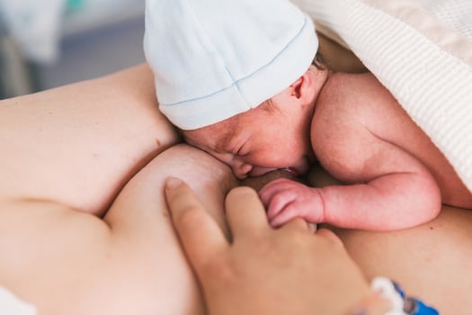 Close-up view of a woman breastfeeding her newborn baby in the hospital room after birth. photo