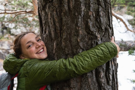 Smiling traveling woman hugging tree in woods photo