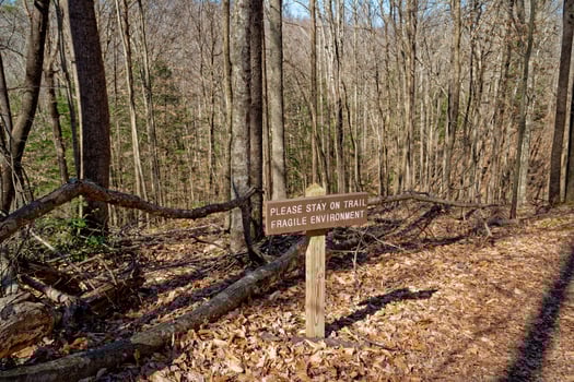 Signage in the forest photo