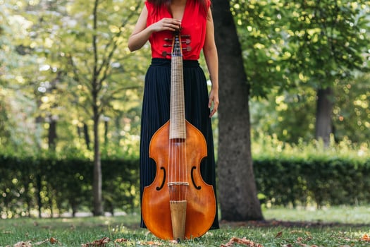 Female musician with her cello outdoors photo