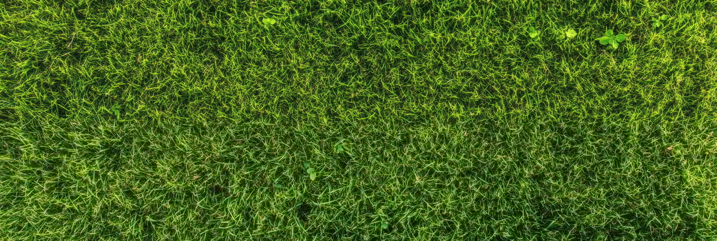 Lush green grass texture perfect for nature and outdoor themes photo