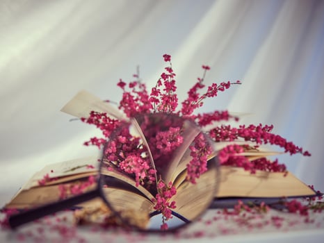 Through magnifier of flowers on book photo