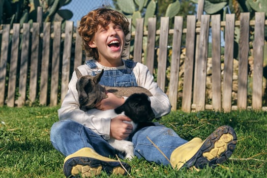 Joyful boy hugging cute baby goats and laughing sitting on lawn photo