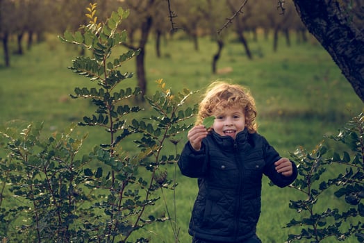 Delighted boy with leaf in grove photo