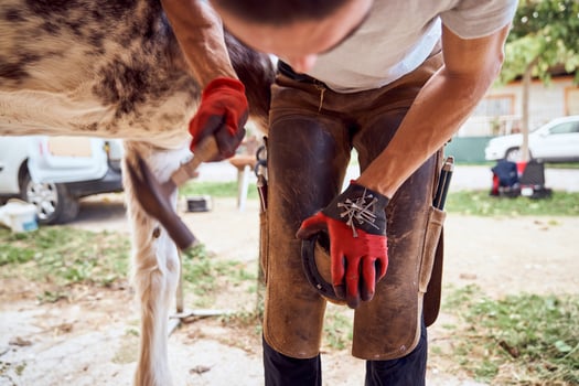 A man is using a tool to trim the hoof of a horse photo