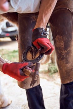 A man is holding a horseshoe in his hand. photo