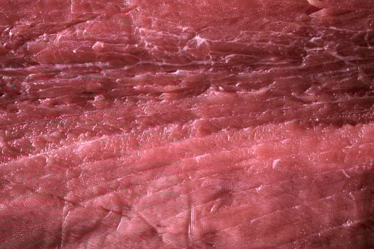 A close up of a piece of meat. photo