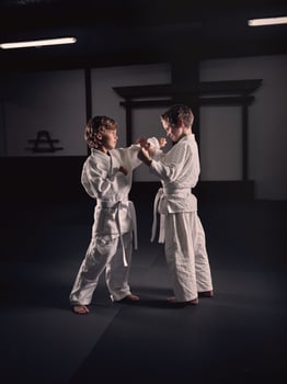 Boys practicing Krav Maga in studio photo