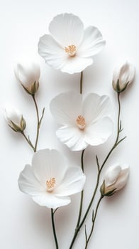 White flowers and buds arranged on a neutral background create a serene and elegant atmosphere in a floral display photo