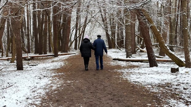 Mature couple going on snowy path at winter pine forest. Senior husband and wife walking through trail at coniferous woodland. Older pair of pensioners spending time together at nature photo
