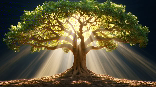 Ancient Tree Illuminated by Golden Rays of Light photo