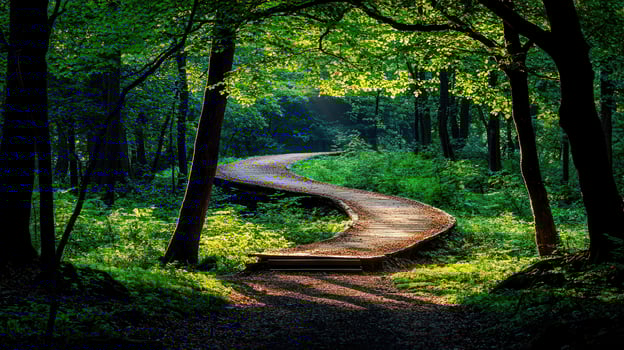 Serpentine Wooden Path Winding Through Lush Green Summer Forest photo