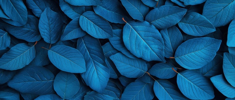 Vibrant blue leaves closeup nature background plant photography aesthetic environment artistic viewpoint photo