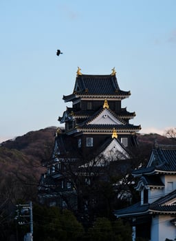 Okayama castle in Okayama, Japan, during sunset, in front of the blue sky photo