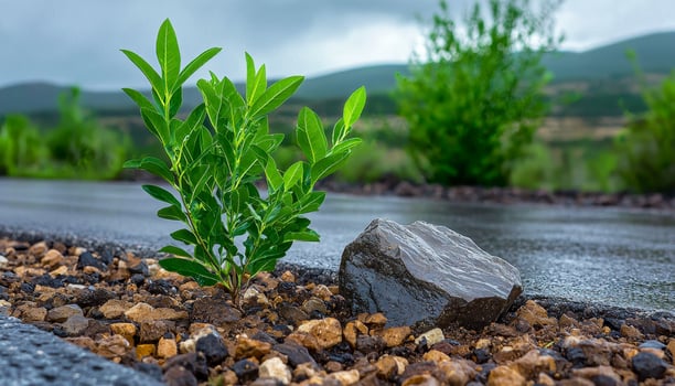 In a scene where life finds a way, a solitary plant stubbornly clings to rocky terrain, defying the odds with its tenacious grip Through perseverance, nature showcases its relentless determination photo