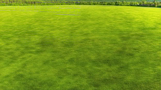 Expansive green grass field under bright sunlight with clear blue sky in background photo
