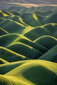 The palouse, washington state, usa photo