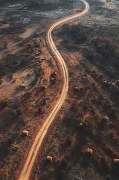 An aerial view of a dirt road in the middle of a desert photo