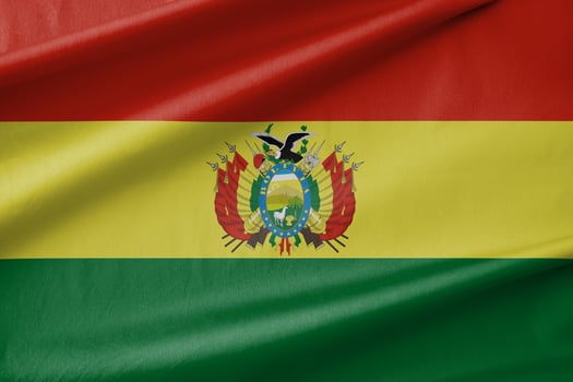 Bolivia National Flag Waving in the Wind photo