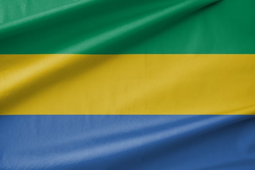 Gabon National Flag Waving in the Wind photo