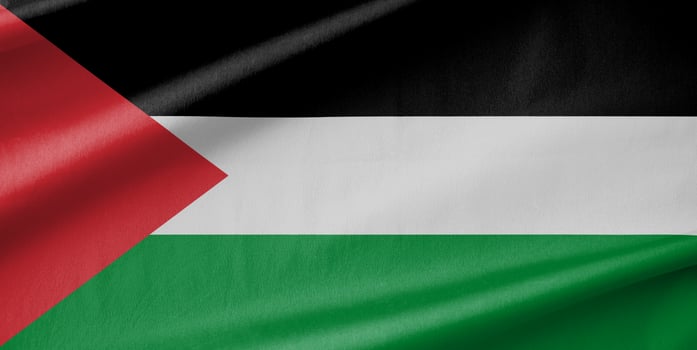 Palestine National Flag Waving in the Wind photo