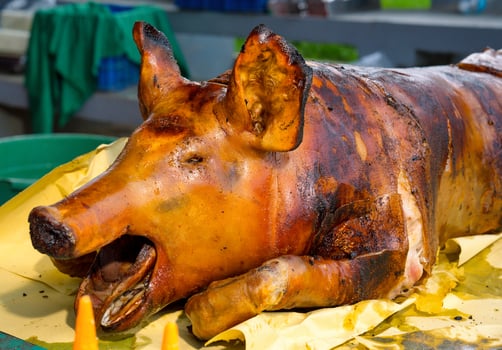 lechon served on a party photo
