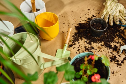 Potted plant in decorative pot with gardening tools and scattered soil on floor during repotting. Concept of home gardening and plant care photo